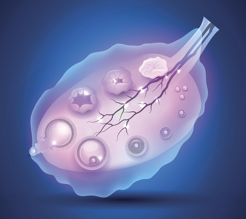 泰国三代试管婴儿医院比较好的是哪些？